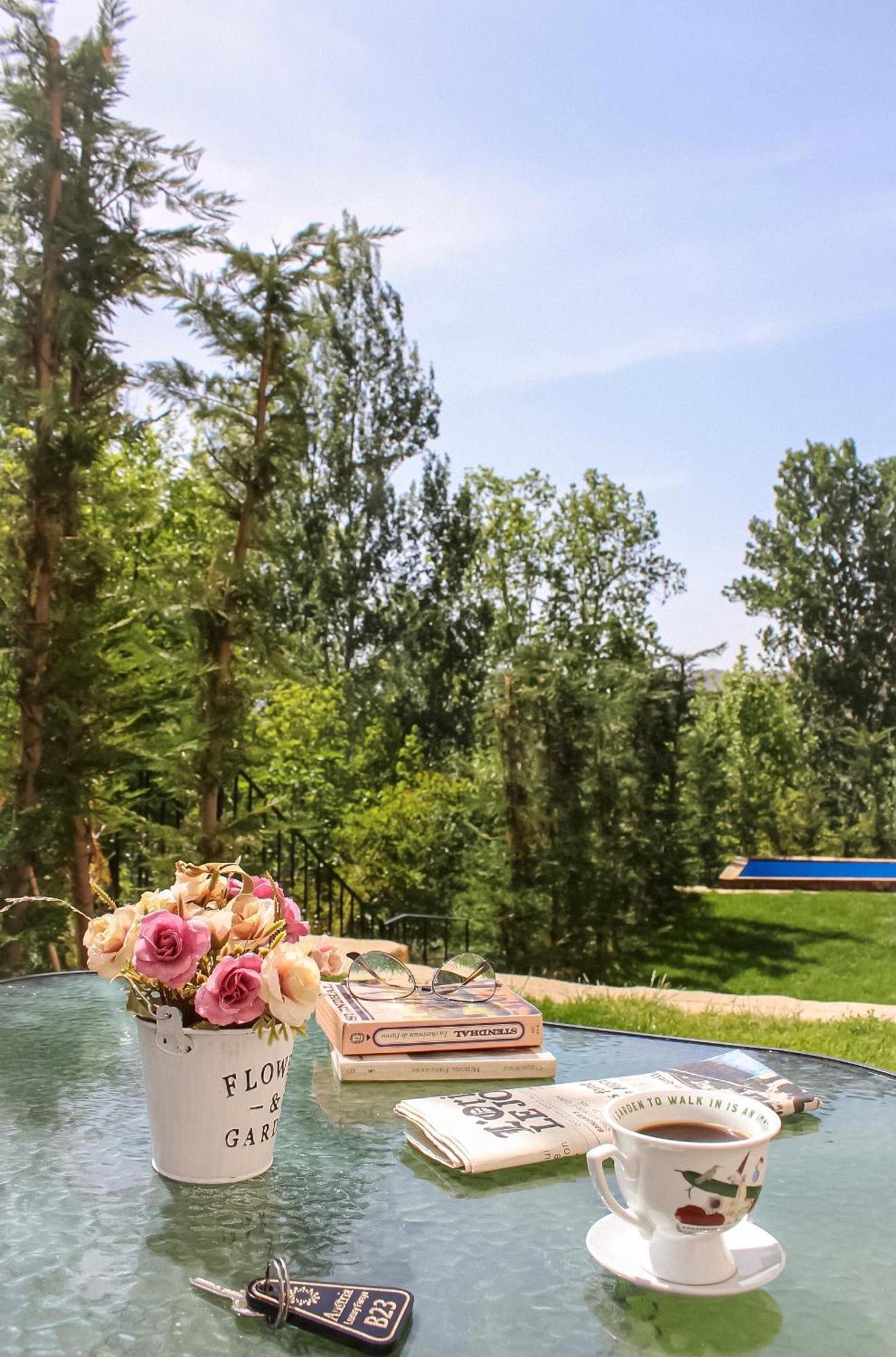 Austria Luxury Apartments, Faraya Hotel Kültér fotó